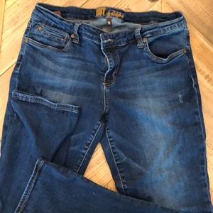 Kut from the Kloth boyfriend ankle jean